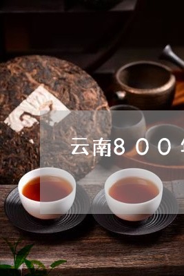 云南800年古树白茶/2023092726149