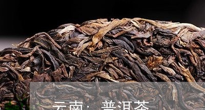 云南;普洱茶/2023042825574