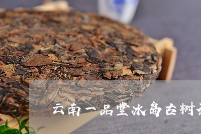 云南一品堂冰岛古树茶/2023061182806