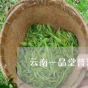 云南一品堂普洱茶08年/2023112872724