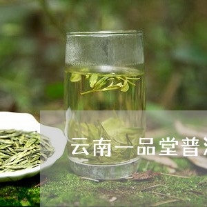 云南一品堂普洱茶价格巴达山/2023052775147