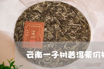 云南一子树普洱茶价格/2023092916250