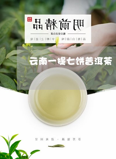 云南一提七饼普洱茶/2023101718502