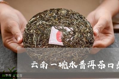 云南一碗水普洱茶口感/2023072256181