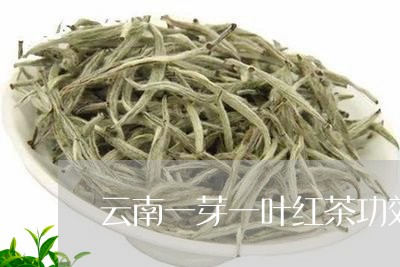 云南一芽一叶红茶功效/2023071627269