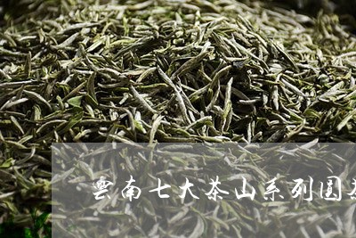 云南七大茶山系列圆茶/2023060943036