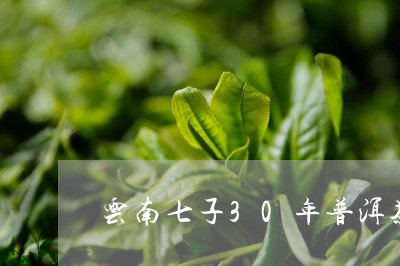 云南七子30年普洱茶/2023062393826