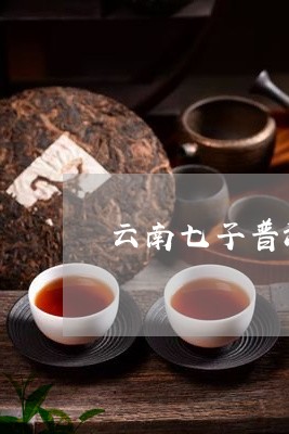 云南七子普洱茶和大益/2023093081514