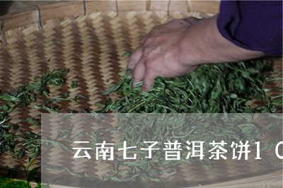 云南七子普洱茶饼10年/2023110161792