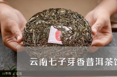 云南七子芽香普洱茶饼/2023093005469