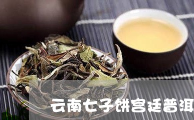 云南七子饼宫廷普洱茶/2023062138303