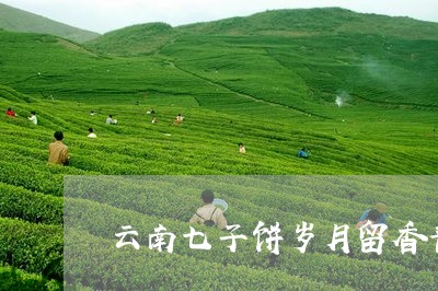 云南七子饼岁月留香普洱茶/2023081591571