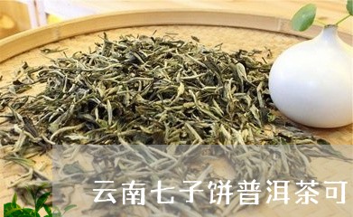 云南七子饼普洱茶可以煮吗/2023081570527