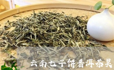 云南七子饼普洱茶昊茗/2023092791804