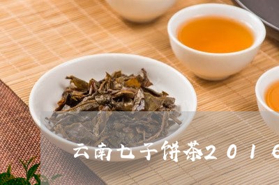 云南七子饼茶2016年产/2023051288492