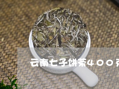 云南七子饼茶400克/2023092228470