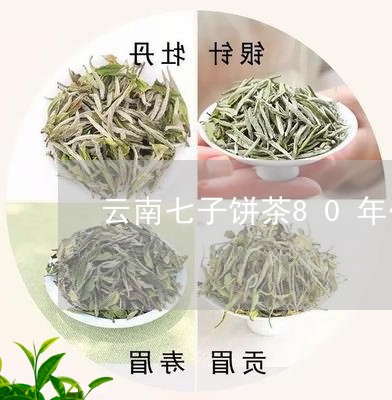 云南七子饼茶80年代/2023092296946