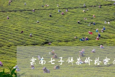 云南七子饼茶价格云南沧源佤山茶厂/2023060463037