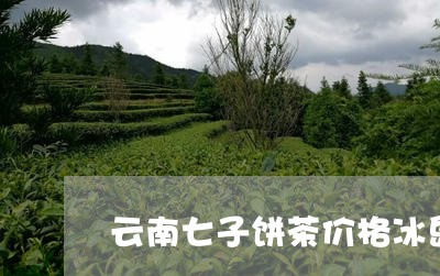 云南七子饼茶价格冰岛/2023061213928