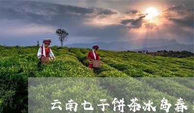 云南七子饼茶冰岛春芽/2023092381726