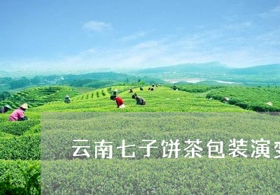 云南七子饼茶包装演变/2023061025169