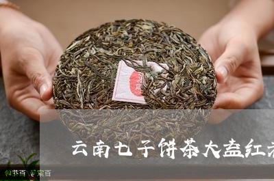 云南七子饼茶大益红老/2023092276930