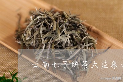 云南七子饼茶大益象山青饼/2023051263928