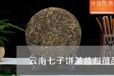 云南七子饼茶昔归蕴品/2023092296027