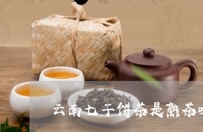 云南七子饼茶是熟茶吗/2023061085037