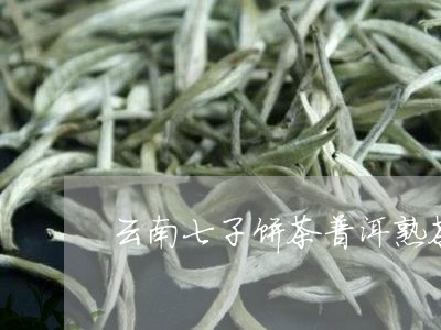 云南七子饼茶普洱熟茶好喝吗/2023052797060