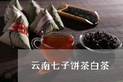 云南七子饼茶白茶/2023061435151