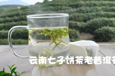 云南七子饼茶老普洱茶/2023073087048