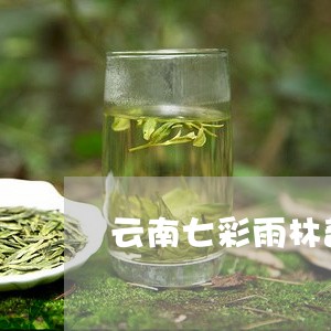 云南七彩雨林普洱茶/2023062222504