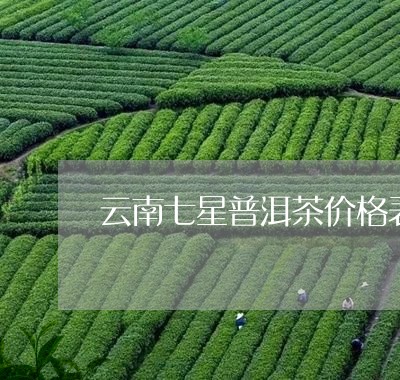 云南七星普洱茶价格表/2023092660594