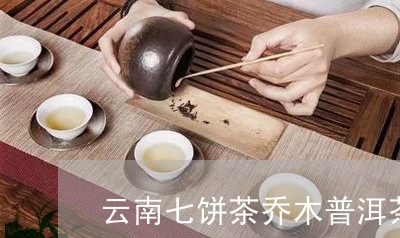 云南七饼茶乔木普洱茶/2023100756172