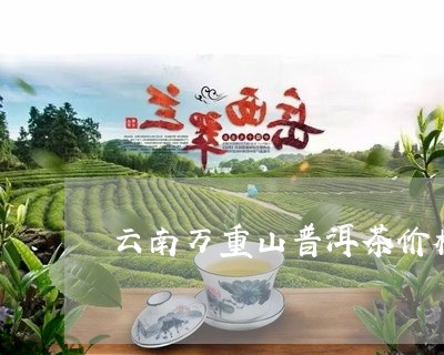 云南万重山普洱茶价格是多少/2023082844028