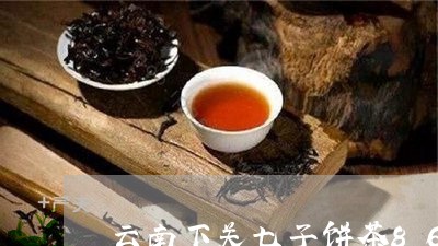 云南下关七子饼茶8603价格/2023053111727