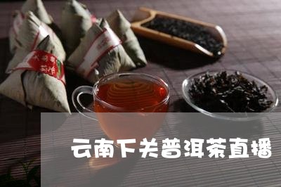 云南下关普洱茶直播/2023082814714