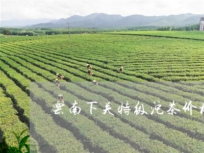 云南下关特级沱茶价格/2023071693724