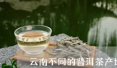 云南不同的普洱茶产地/2023080339483