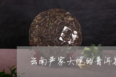 云南严家大院的普洱茶/2023062336950