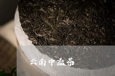 云南中益茶/2023090292737