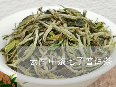 云南中茶七子普洱茶/2023112453925