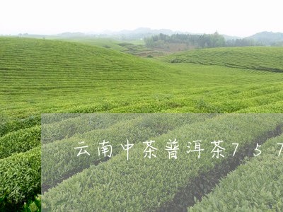 云南中茶普洱茶7571/2023120780381