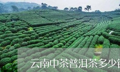 云南中茶普洱茶多少钱/2023073120704