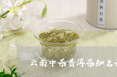 云南中茶普洱茶知名茶/2023080346349