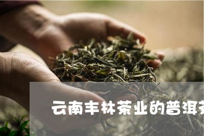 云南丰林茶业的普洱茶/2023092913827