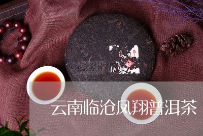 云南临沧凤翔普洱茶/2023070873927