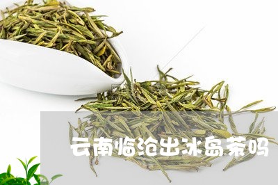 云南临沧出冰岛茶吗/2023042651937