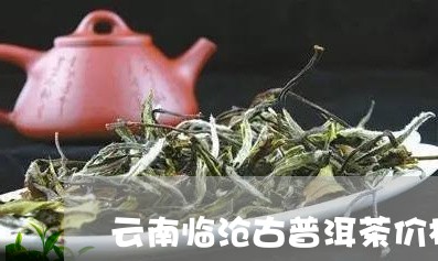 云南临沧古普洱茶价格/2023062477148